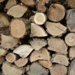 Selecting Firewood for your Fireplace - Richmond VA - Chimney Saver Solutions