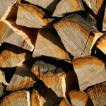 Selecting Firewood for your Fireplace - Richmond VA - Chimney Saver Solutions