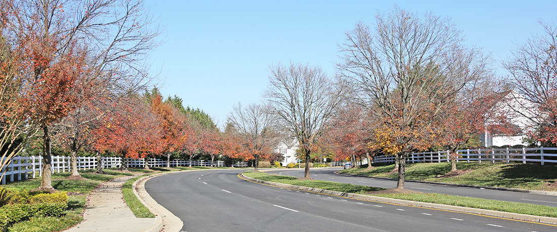 Chimney sweep henrico county