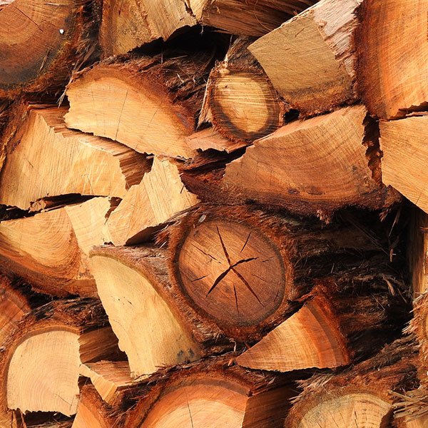 Chopped Seasoned Firewoods For The Fireplace